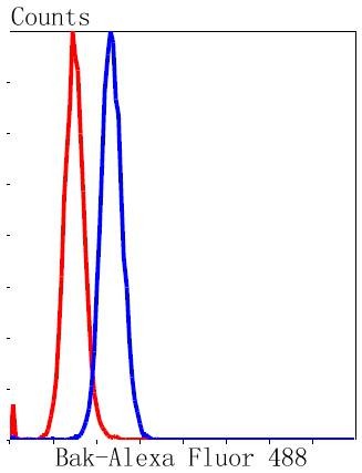 Anti-BAK1 Antibody (2V22)