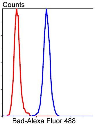 Anti-Bad Antibody (4Z819)