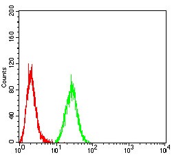 Anti-KDM1B Antibody (3V868)