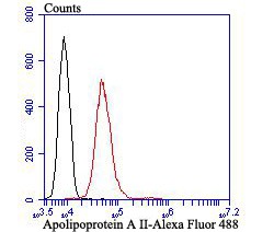 Anti-Apolipoprotein A-II/APOA2 Antibody (7V111)