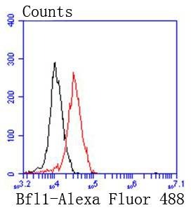 Anti-BCL2A1 Antibody (5Q732)