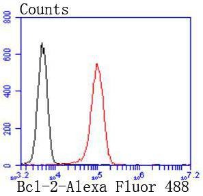 Anti-BCL2 Antibody (9S932)