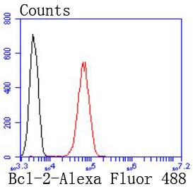 Anti-BCL2 Antibody (4Z465)