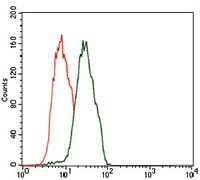 Anti-C17ORF53 Antibody (1Z939)