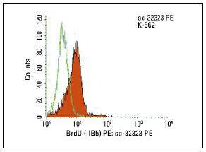 Anti-BrdU Antibody (8W188)