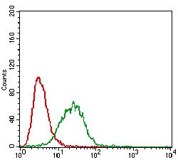 Anti-CAV2 Antibody (8Z468)
