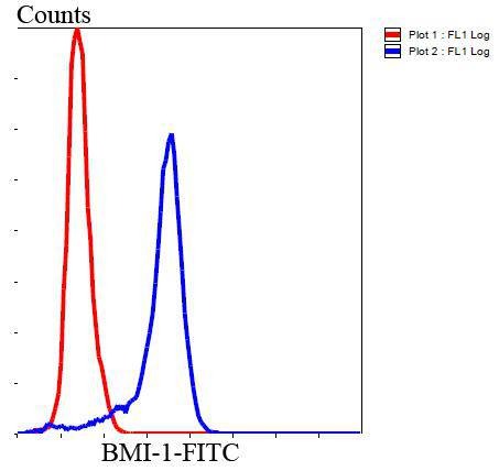 Anti-BMI-1 Antibody (8M743)
