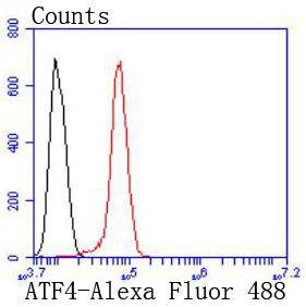 Anti-ATF-4 Antibody (7M603)