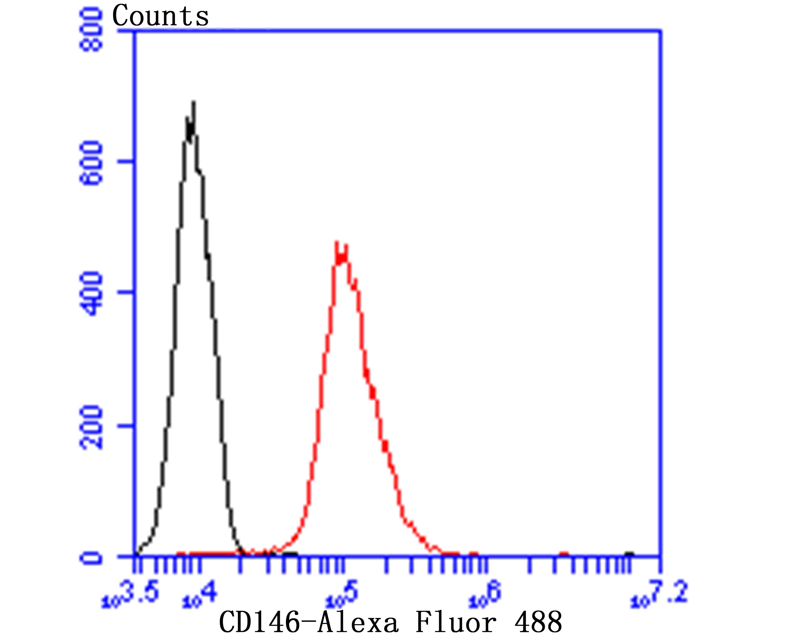 Anti-CD146/MCAM Antibody (6W862)