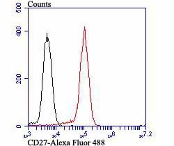 Anti-CD27/TNFRSF7 Antibody (8H198)