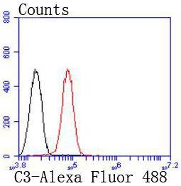 Anti-Complement C3 Antibody (7T917)
