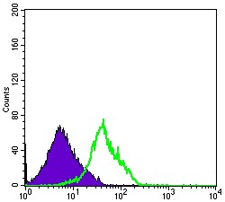 Anti-CD94 Antibody (5I101)