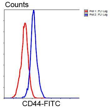 Anti-CD44 Antibody (7A260)