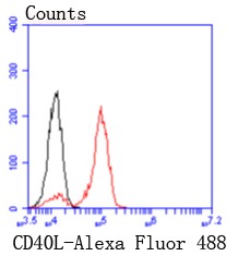 Anti-CD40 Ligand Antibody (1A416)