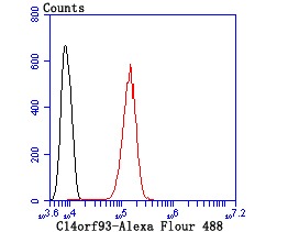 Anti-C14orf93 Antibody (8U54)