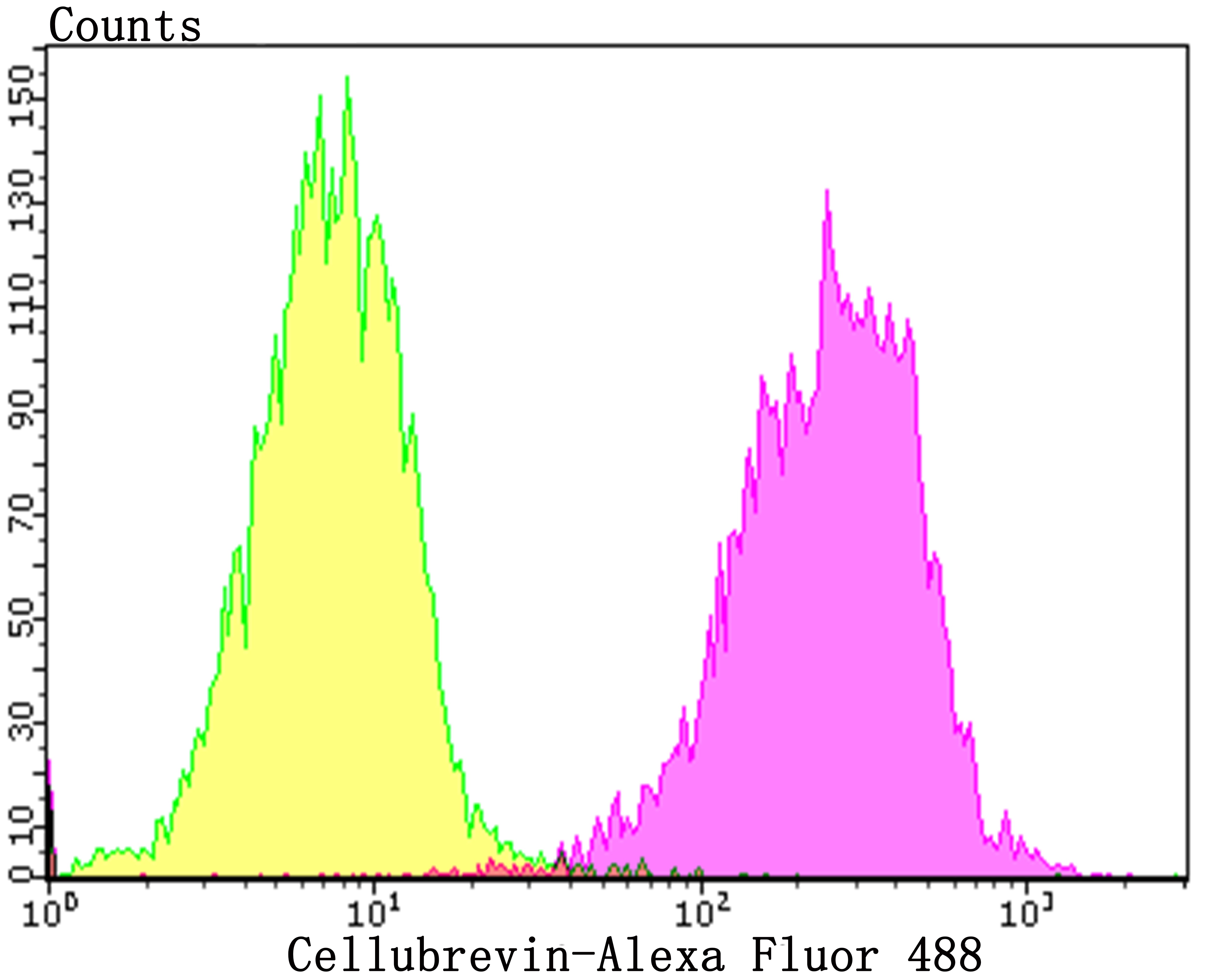 Anti-VAMP3 Antibody (5C283)