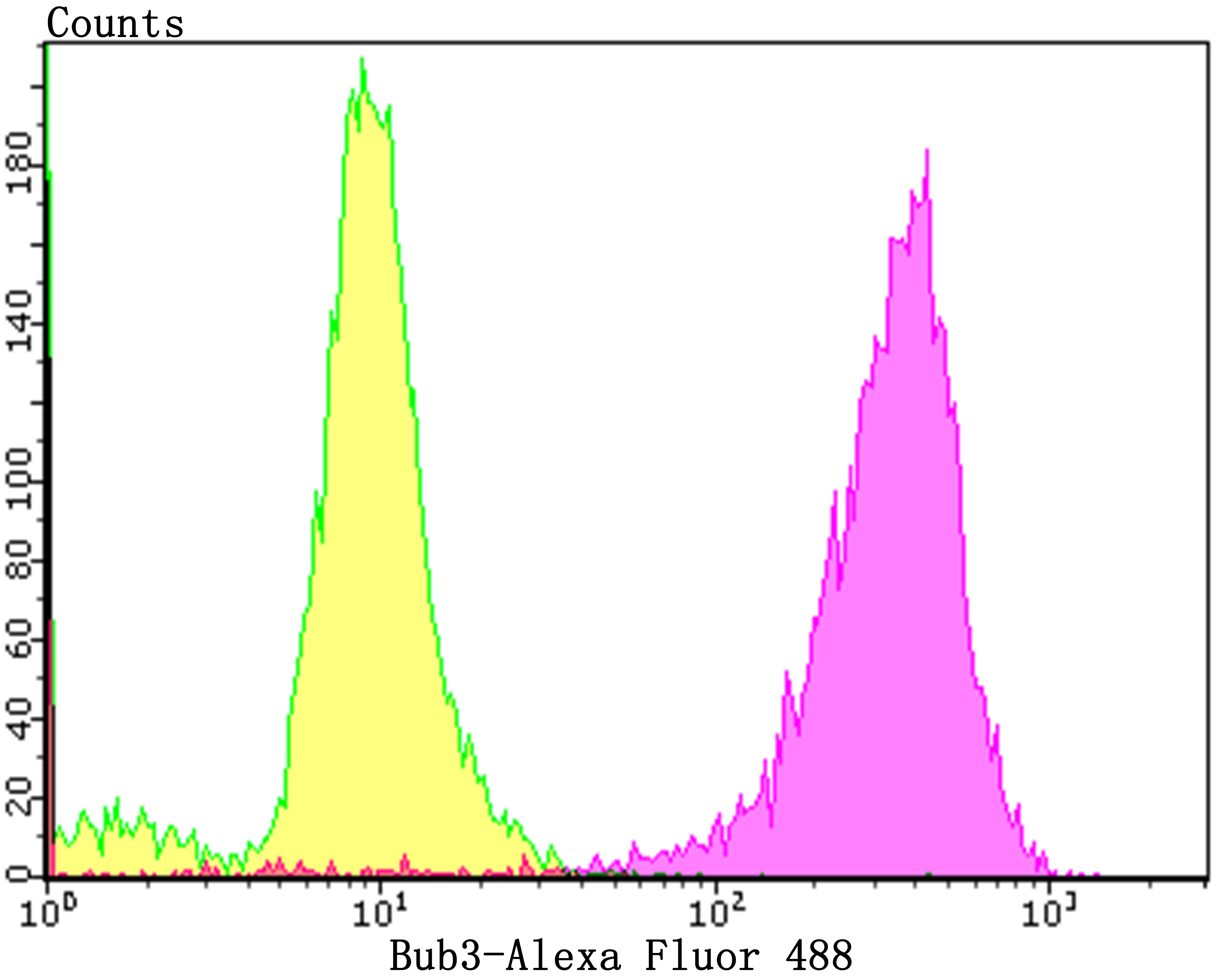 Anti-BUB3 Antibody (9N253)