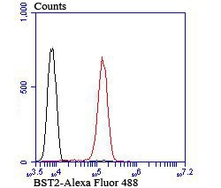 Anti-BST2 Antibody (3M264)
