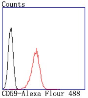 Anti-CD59 Antibody (2A586)