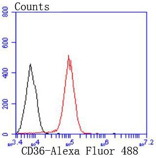 Anti-CD36 Antibody (6K672)