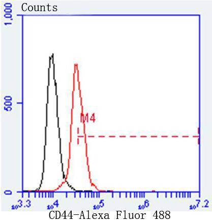 Anti-CD44 Antibody (5M235)