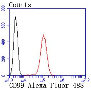 Anti-CD99 Antibody (5Q457)