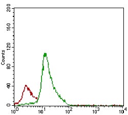 Anti-CD7 Antibody (9J161)