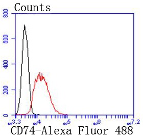 Anti-CD74 Antibody (9A482)
