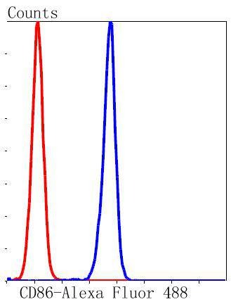 Anti-CD86 Antibody (5O340)