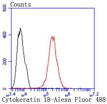 Anti-KRT18 Antibody (5J111)