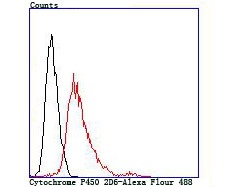 Anti-CYP2D6 Antibody (8H168)