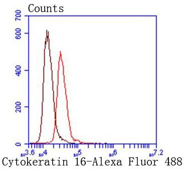 Anti-KRT16 Antibody (3O311)