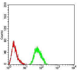 Anti-CFHR5 Antibody (9M883)