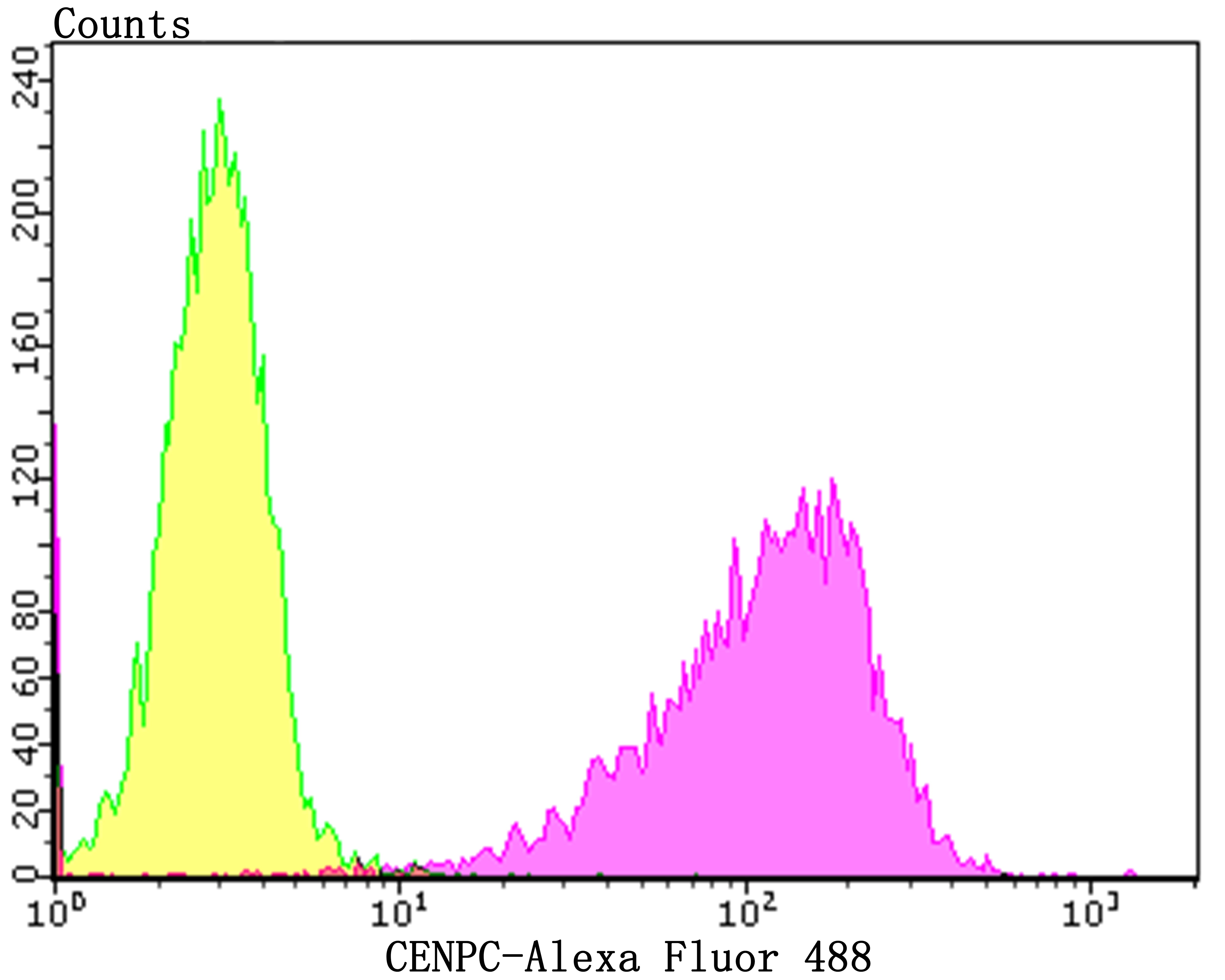 Anti-CENPC Antibody (3X906)