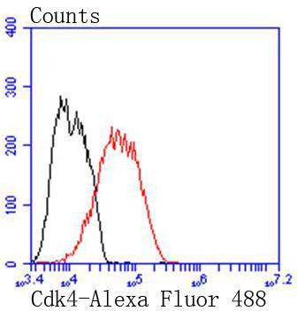 Anti-CDK4 Antibody (1F732)