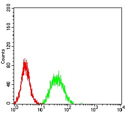 Anti-CDCP1 Antibody (2R354)