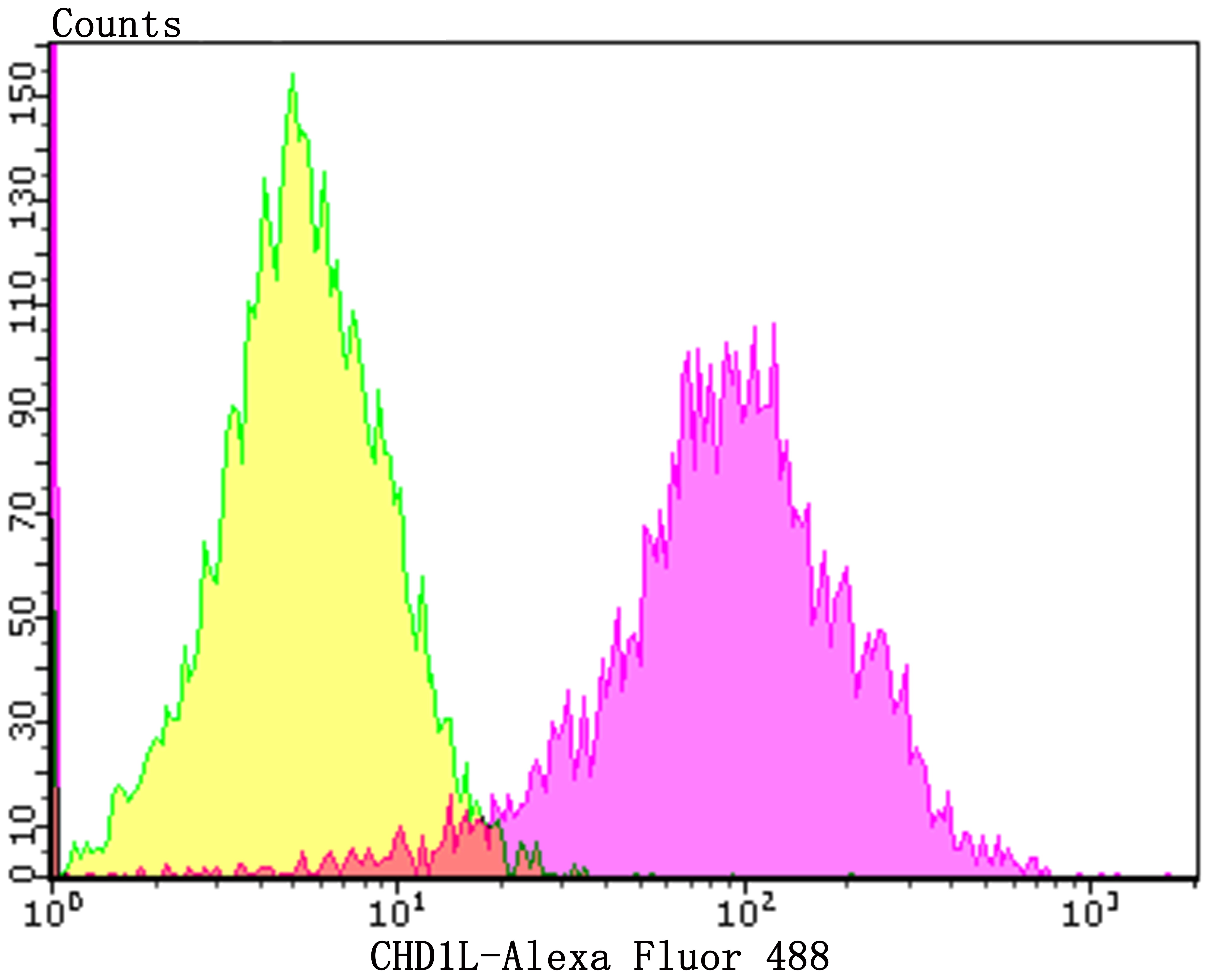 Anti-CHD1L Antibody (7L400)