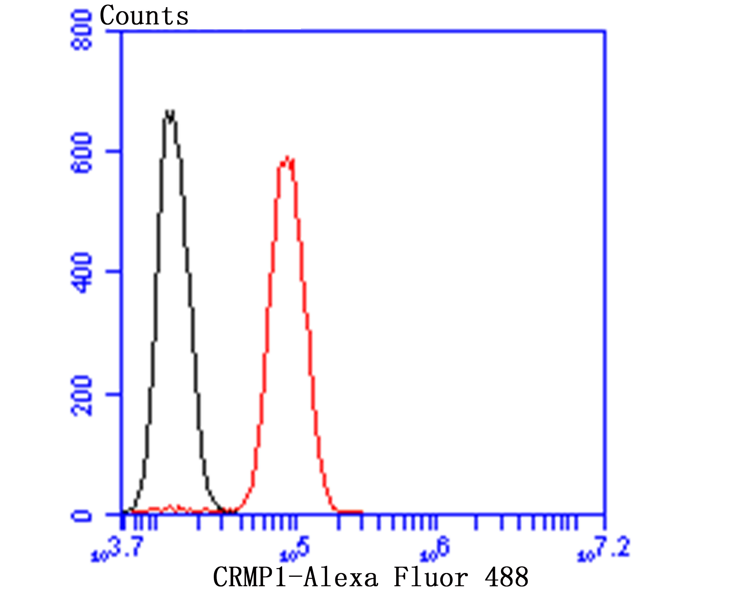 Anti-CRMP1 Antibody (1I169)