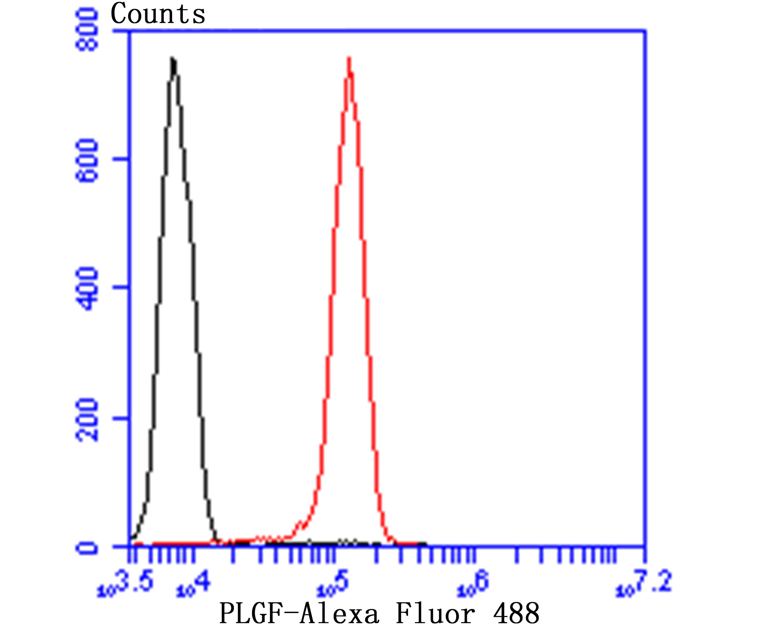 Anti-Coilin Antibody (1B55)