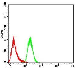 Anti-DHX58 Antibody (1Q521)