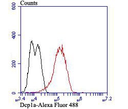 Anti-DCPLA Antibody (2R679)