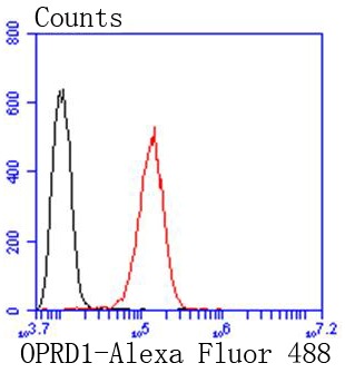 Anti-OPRD1 Antibody (4W773)
