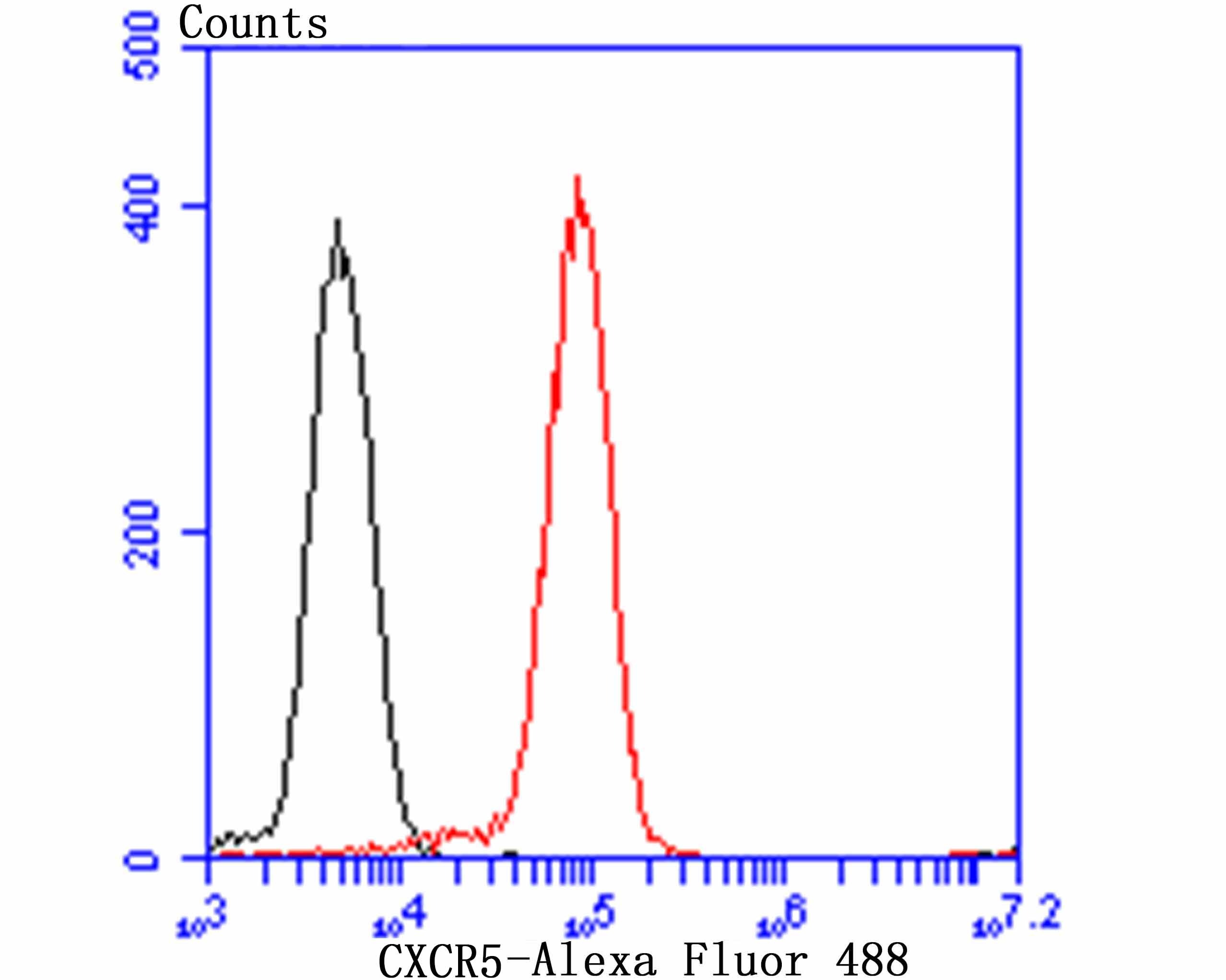 Anti-CXCR5 Antibody (1U955)