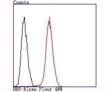 Anti-TRAIL R2/DR5/TNFRSF10B Antibody (7L7)