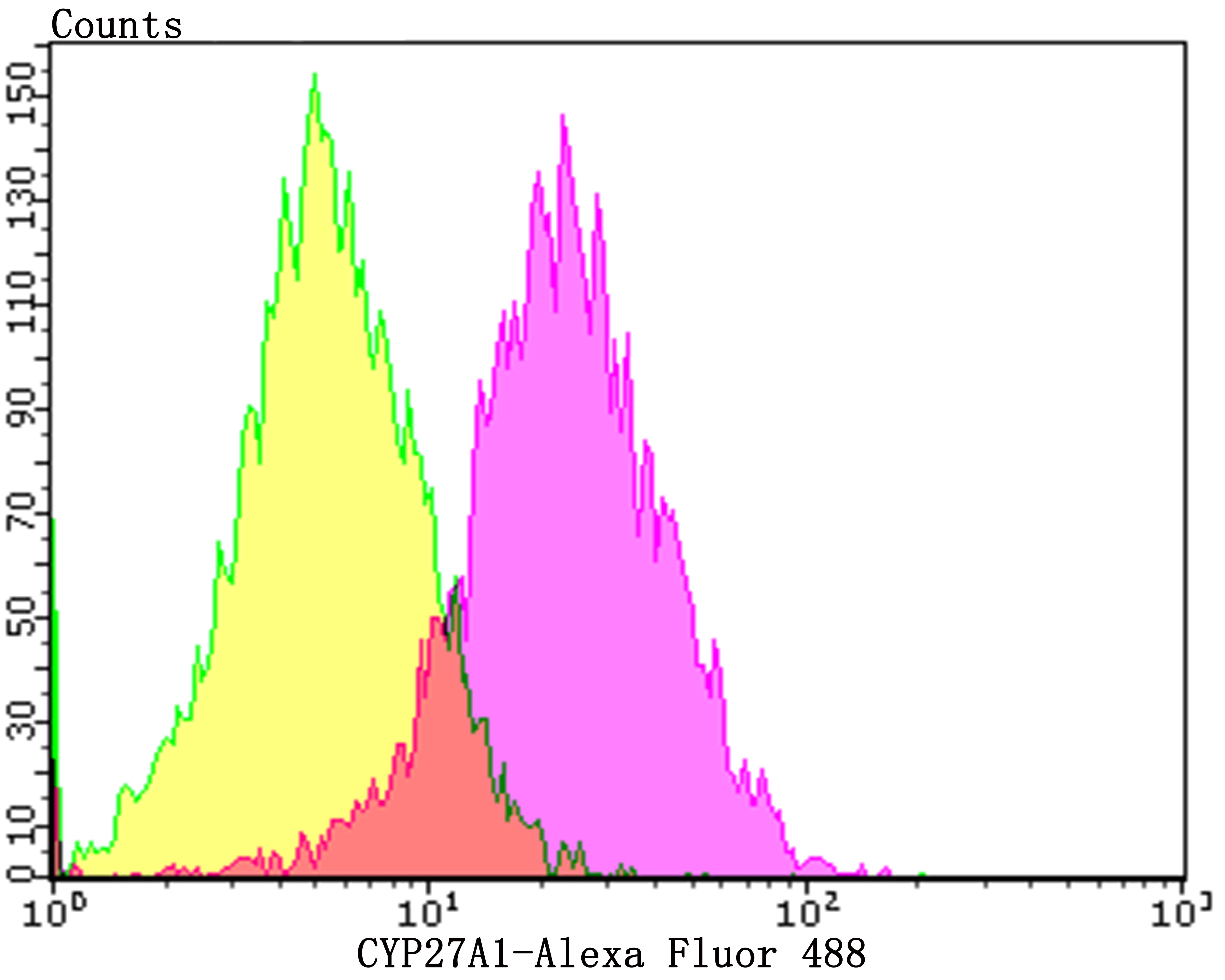 Anti-CYP27A1 Antibody (5U325)