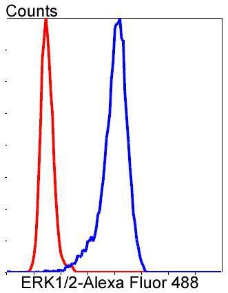 Anti-MAPK3/1 Antibody (1G244)