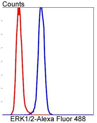 Anti-MAPK3/1 Antibody (1G244)