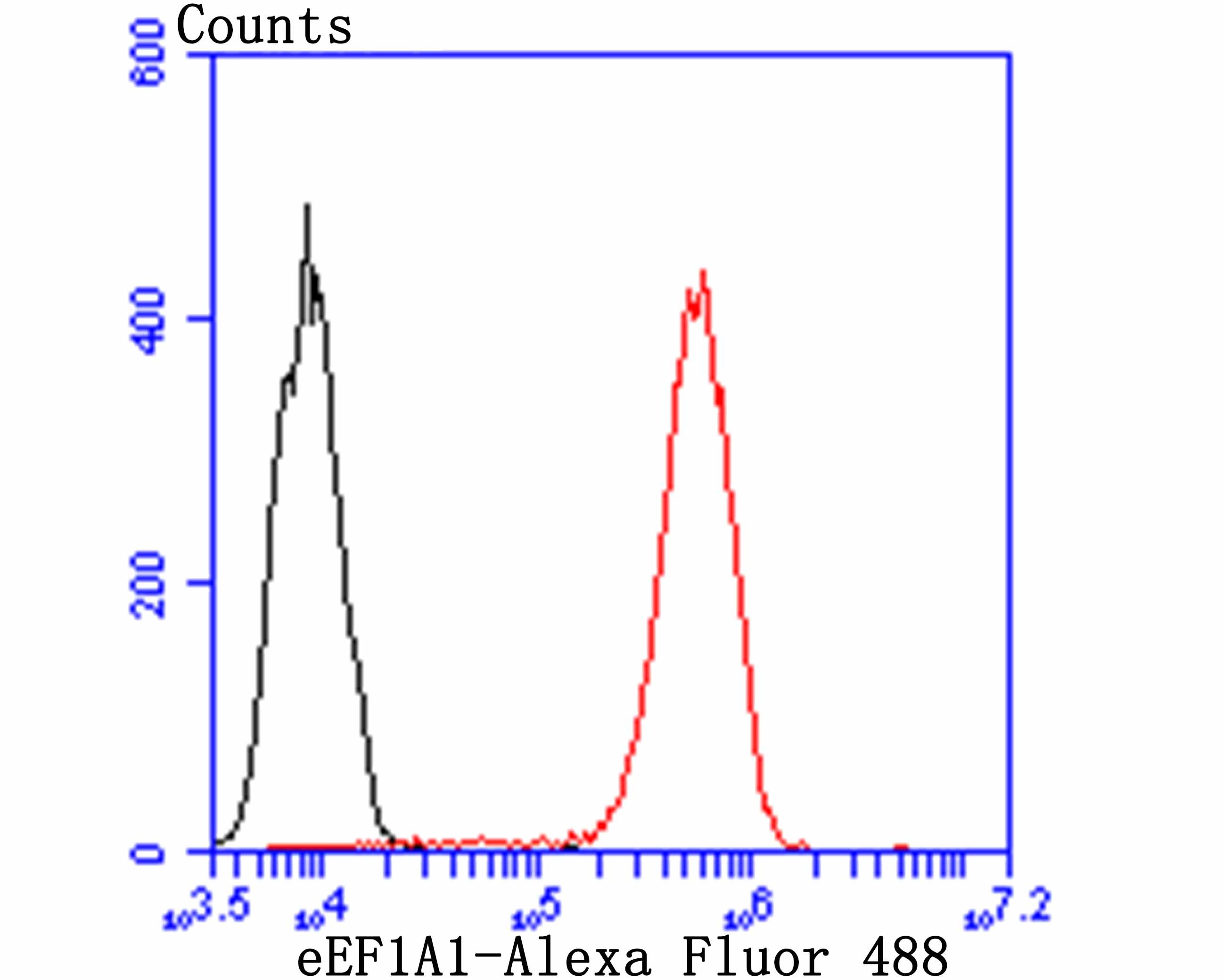 Anti-EEF1A1 Antibody (9F149)
