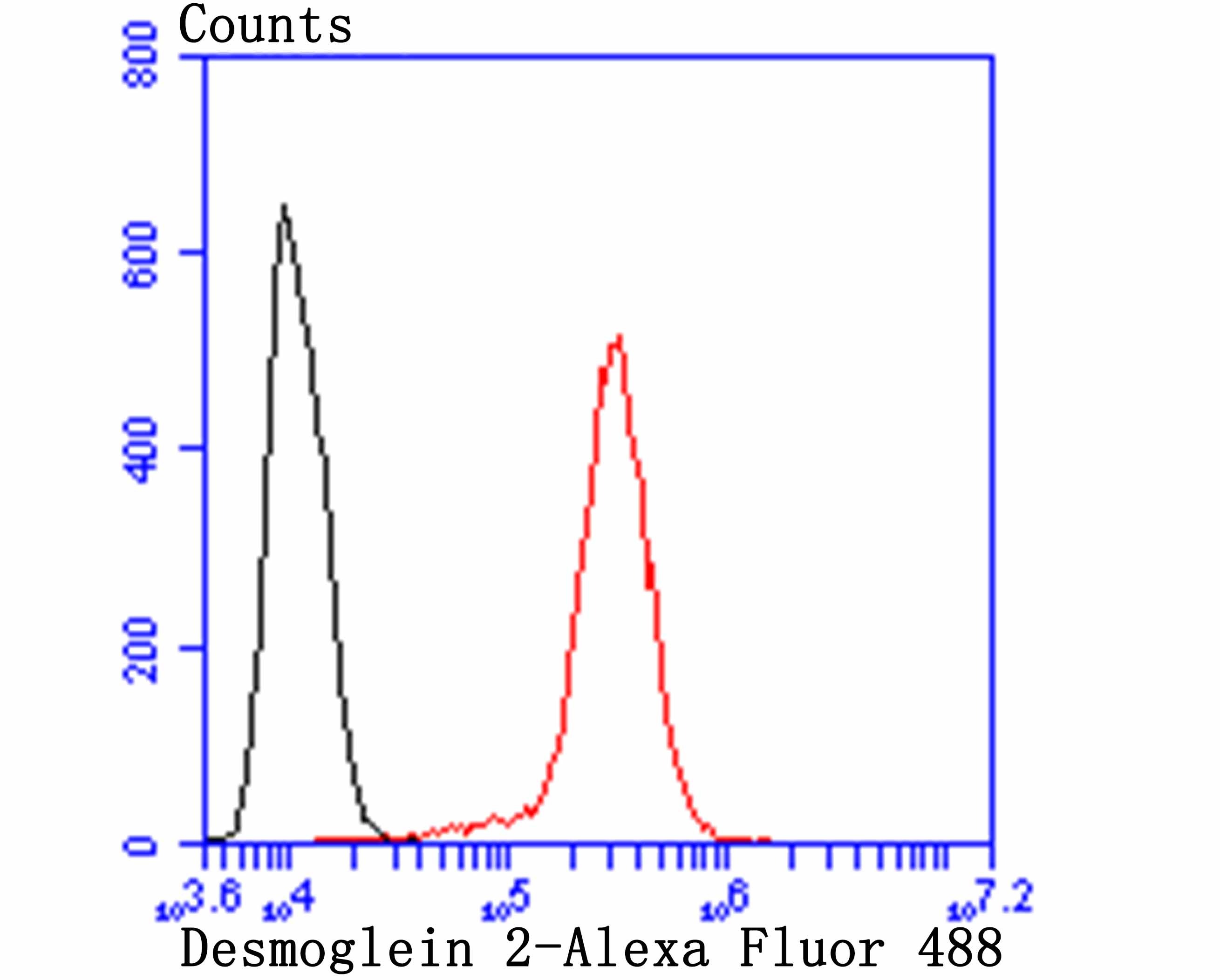 Anti-DSG-2/Desmoglein-2 Antibody (5U33)
