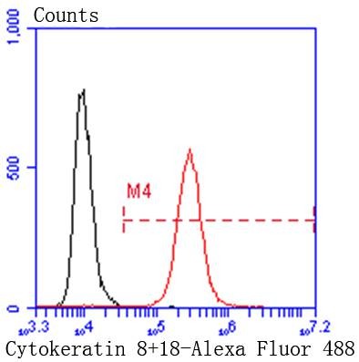 Anti-KRT8/18 Antibody (6E645)